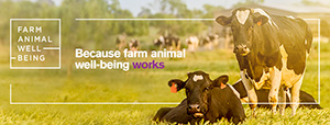 Farm Animal Well-Being
